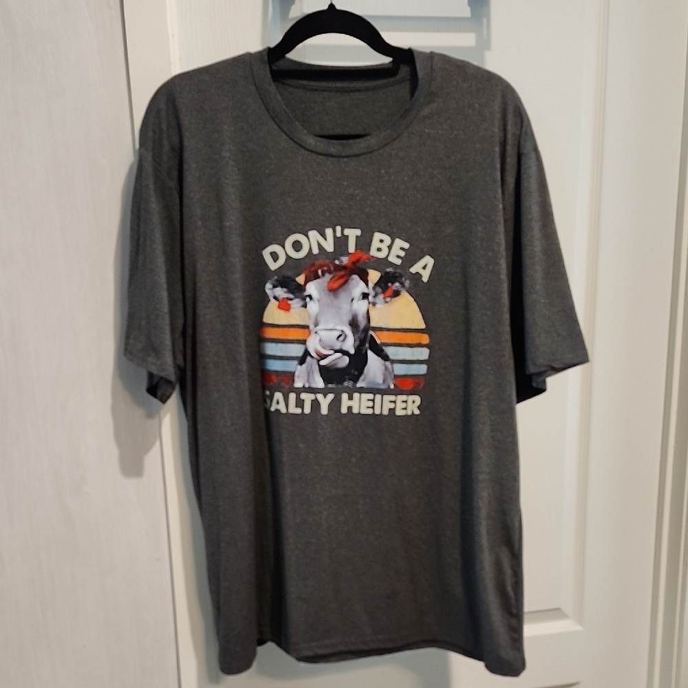 Gray Graphic T-Shirt - "Don't Be A Salty Heifer" 2XL